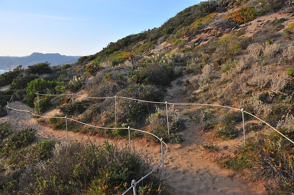 DSC 1066