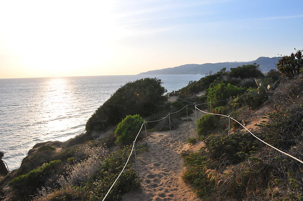DSC 1067