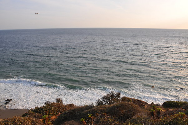 DSC 1041