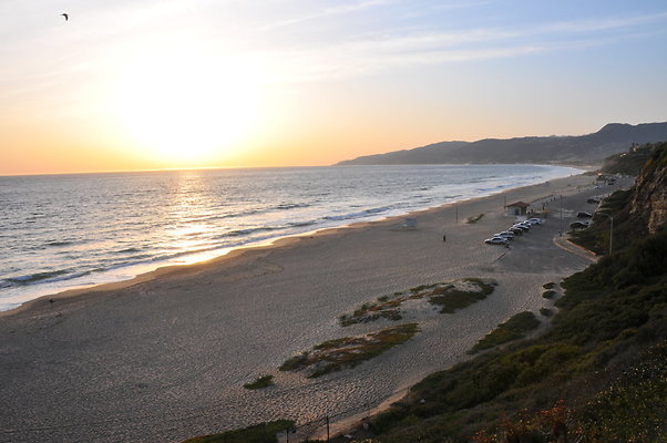 DSC 1142