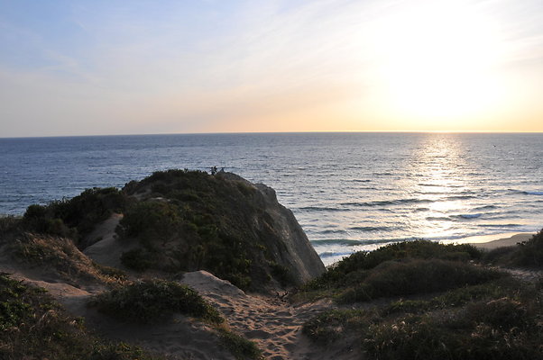 DSC 1084