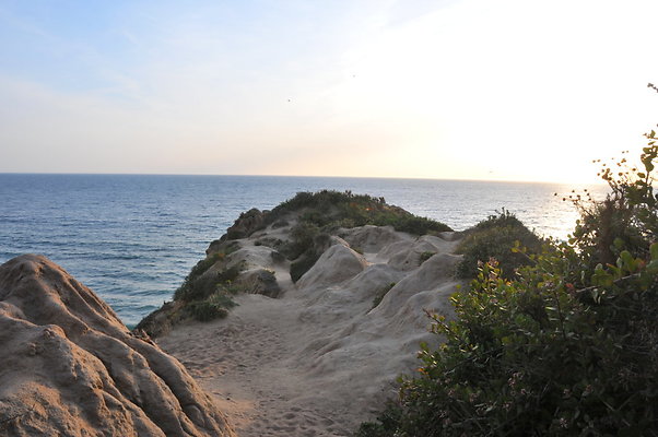 DSC 1092