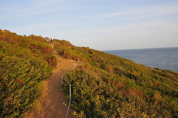 DSC 1059