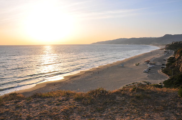 DSC 1135