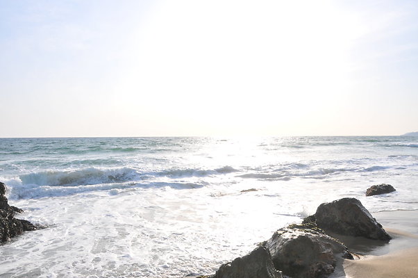 DSC 0880