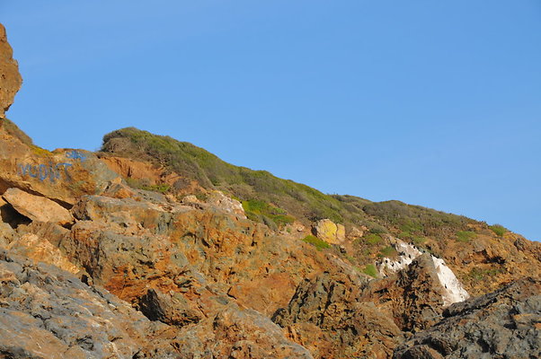DSC 0871