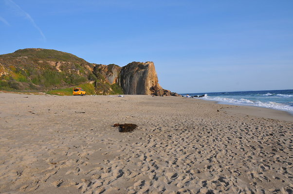 DSC 0818