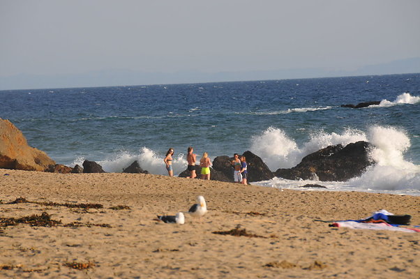 DSC 0804