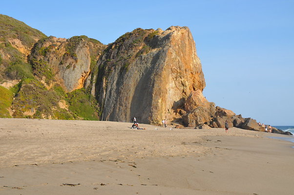 DSC 0845