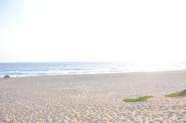 DSC 0998