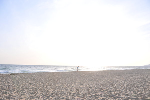 DSC 0982