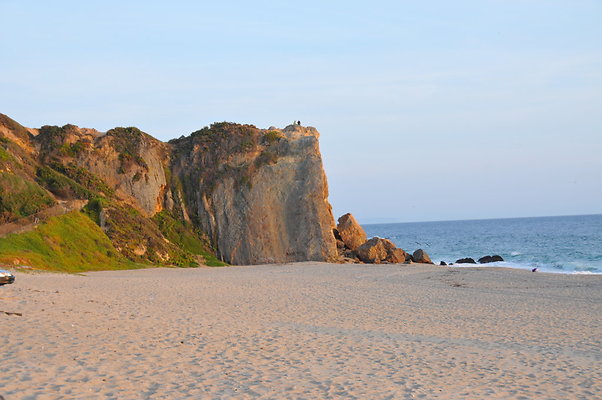 DSC 1167