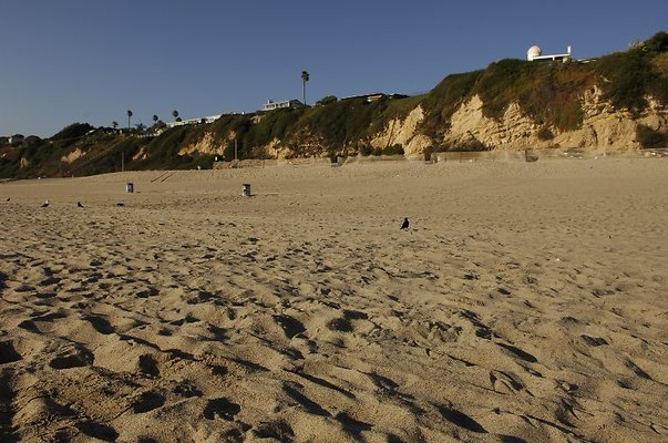  DSC5397