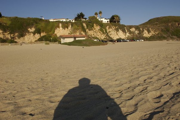  DSC5408