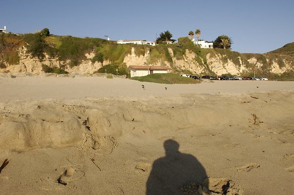  DSC5423