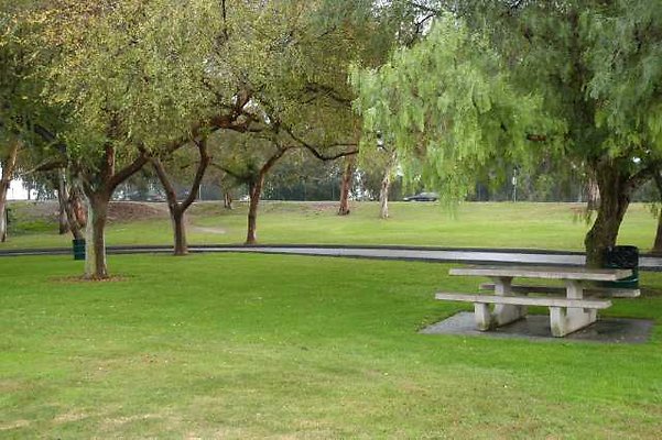 DSC 1229