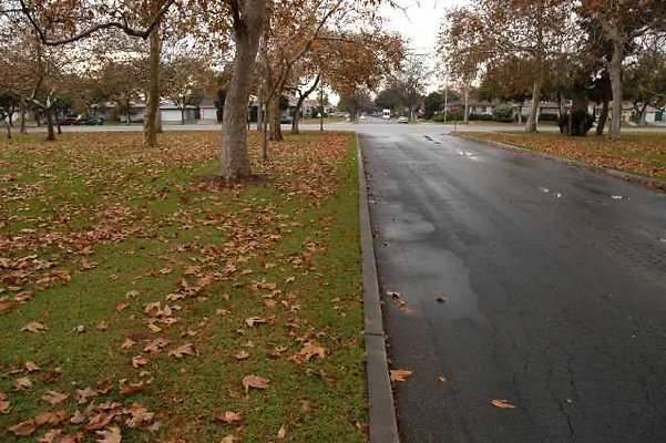 DSC 1164