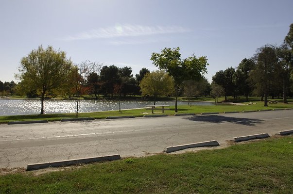  DSC7847