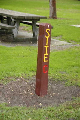 DSC 1239