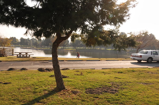 DSC 9011