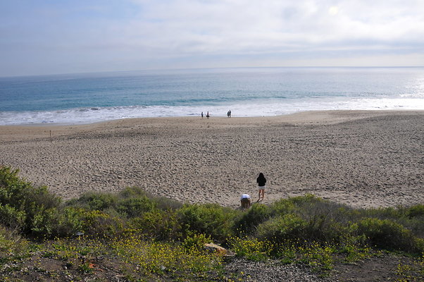 DSC 1872