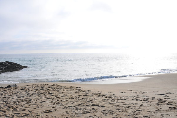 DSC 2043
