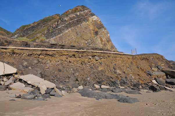 DSC 1997
