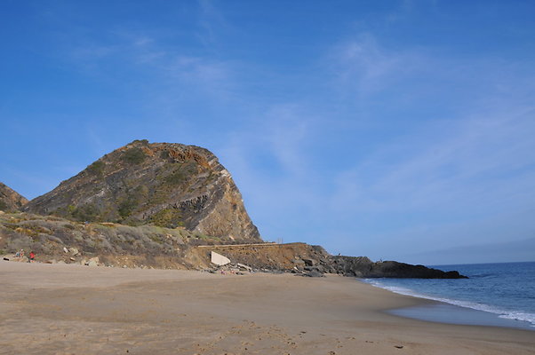 DSC 1988