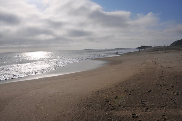 DSC 1941