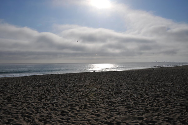 DSC 1918
