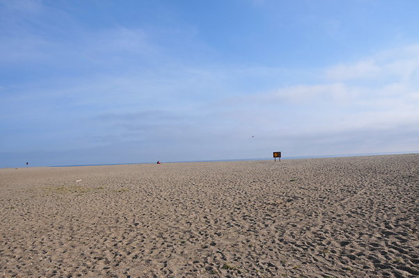 DSC 3011