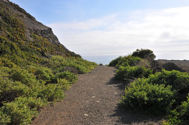 DSC 1862