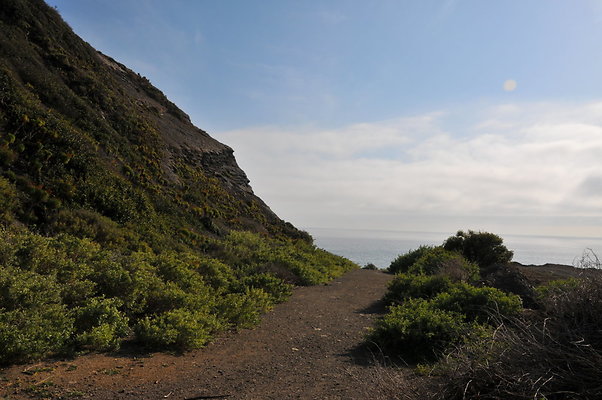 DSC 1860