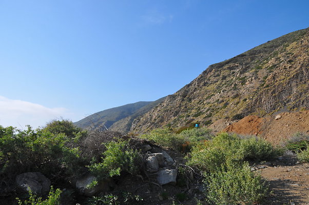 DSC 1838