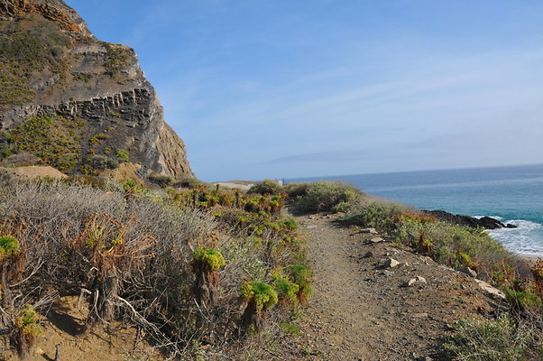 DSC 1773