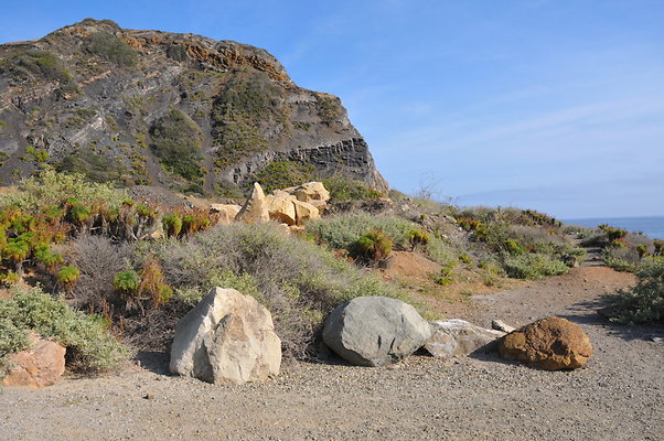 DSC 1763