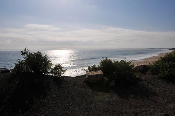 DSC 1785