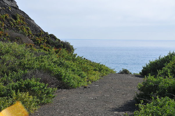 DSC 1858