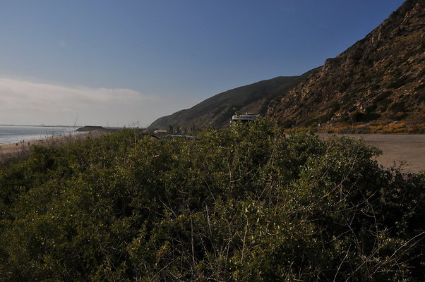 DSC 1771