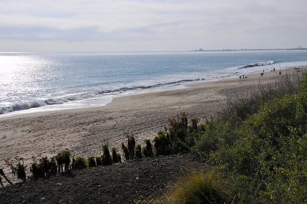 DSC 1768