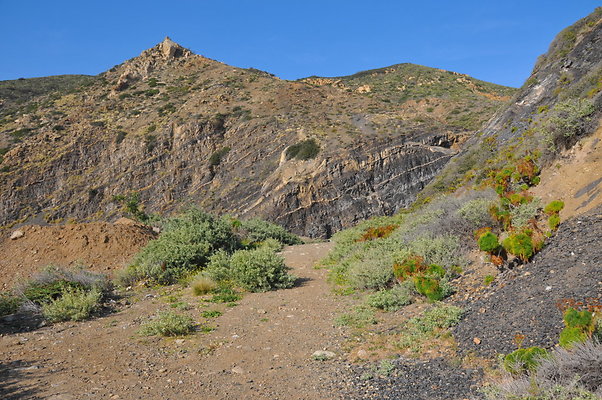 DSC 1836