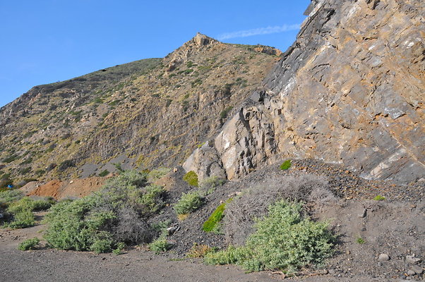 DSC 1810