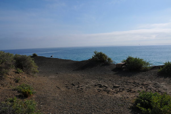 DSC 1782