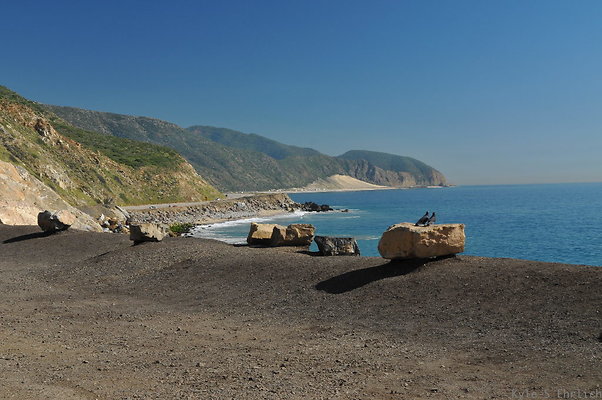 DSC 4179
