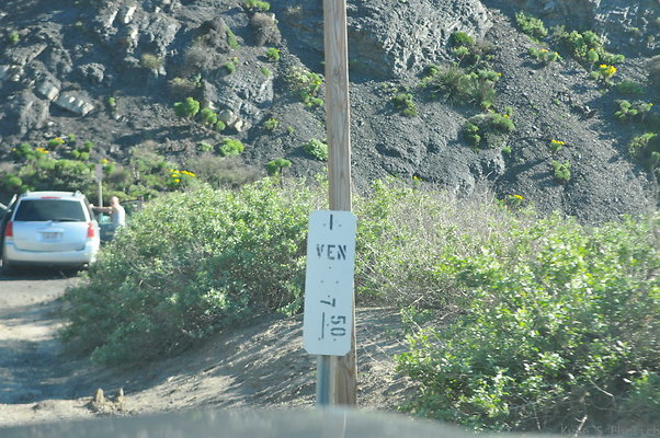 DSC 4465