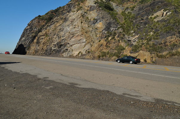 DSC 4281