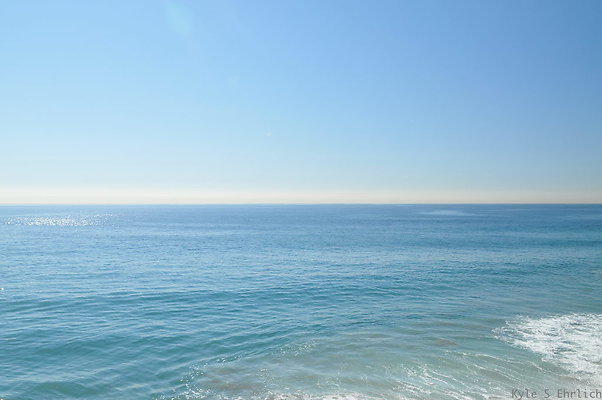DSC 4294
