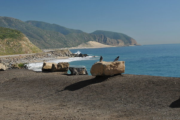 DSC 4170
