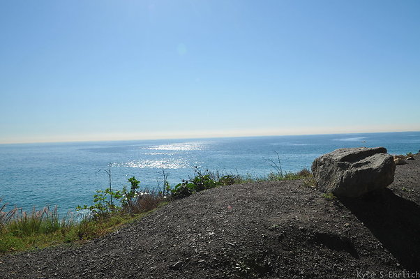 DSC 4266
