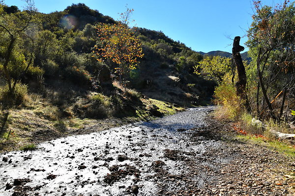 048 Canyon Ranch